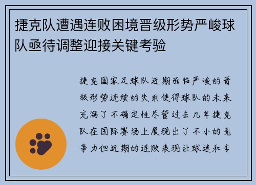 捷克队遭遇连败困境晋级形势严峻球队亟待调整迎接关键考验