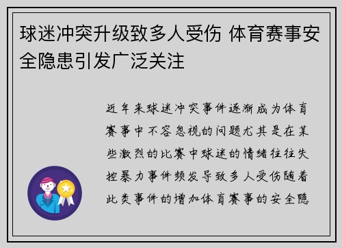 球迷冲突升级致多人受伤 体育赛事安全隐患引发广泛关注