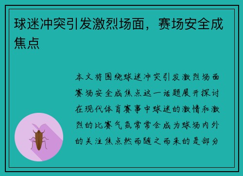 球迷冲突引发激烈场面，赛场安全成焦点